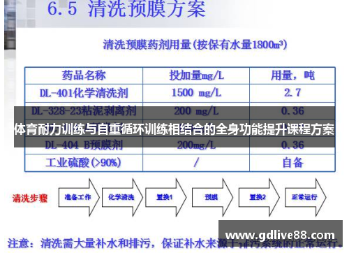 体育耐力训练与自重循环训练相结合的全身功能提升课程方案