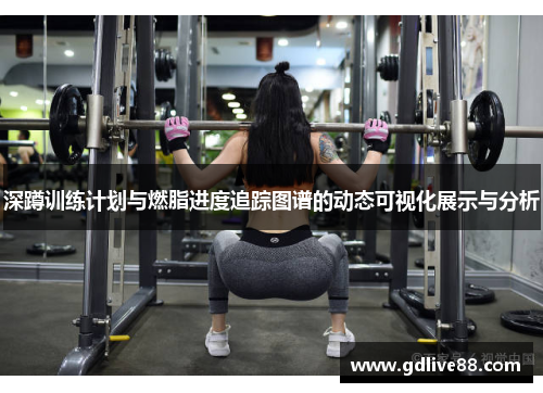 深蹲训练计划与燃脂进度追踪图谱的动态可视化展示与分析